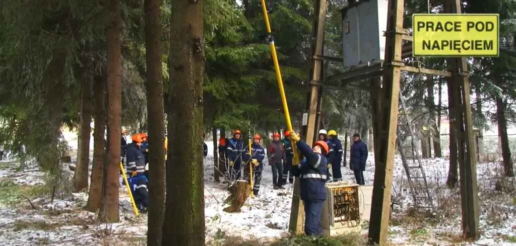 obcinanie gałęzi przy liniach energetycznych